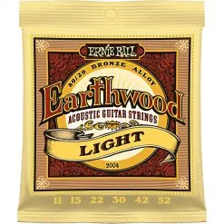 Ernie Ball 2004 Earthwood 80/20 Guitar String