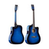 Enjoy m4101 acoustic guitar blue