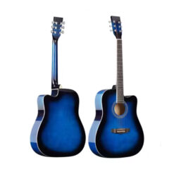 Enjoy M4101 Acoustic Guitar Blue
