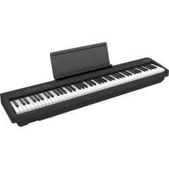 Roland FP-30X Portable Digital Piano (Black)