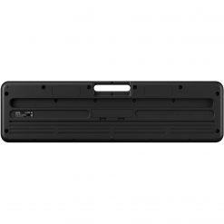 Casio lk-s250 61-key portable keyboard lighted-key