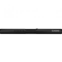 Casio lk-s250 61-key portable keyboard lighted-key