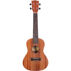 Flight nuc310 concert ukulele