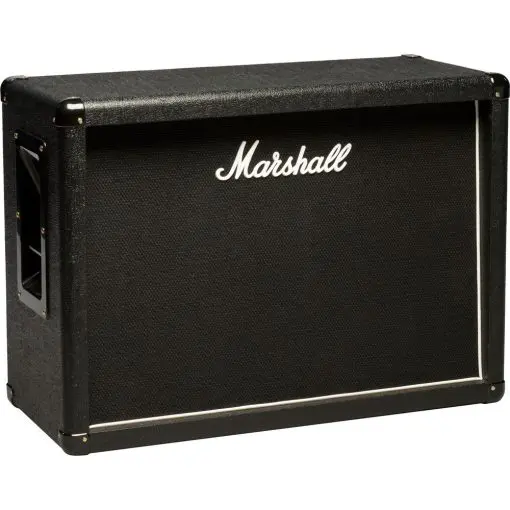 Marshall amplification mx212