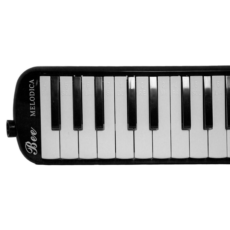 BEE BM37 Keys Melodica with Travel Case Price in Pakistan