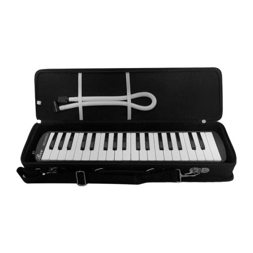 BEE BM37 Keys Melodica with Travel Case Price in Pakistan