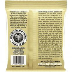 Ernie ball earthwood rock and blues acoustic guitar string