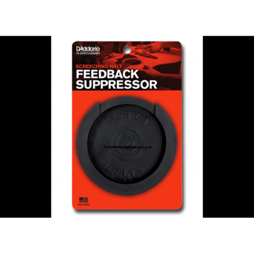 Taylor wave bone acoustic guitar saddle D'addario screeching halt acoustic soundhole cover - image 3