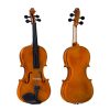 Tayste violin price in pakistan