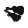 Carlos guitar case hard case