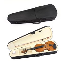 Tayste violin price in pakistan