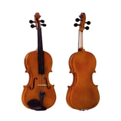 Hebikuo V03A Student Violin