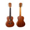 Flight NUC310 Concert Ukulele