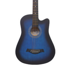 Kaspar acoustic guitar price in pakistan