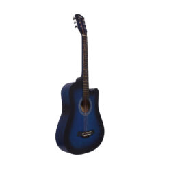 Kaspar acoustic guitar price in pakistan