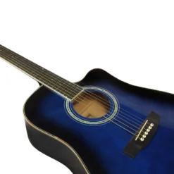 Enjoy M4101 Acoustic Guitar Blue