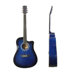 Enjoy M4101 Acoustic Guitar Blue