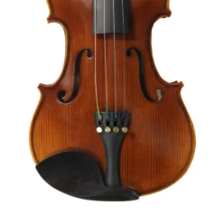 Hebikuo V005 4/4 Size Professional Violin