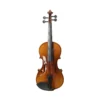 Hebikuo v03a 4/4 size student violin