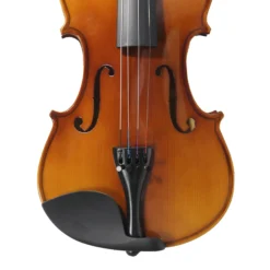 Hebikuo V03A 4/4 Size Student Violin