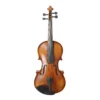 Hebikuo v03f 4/4 size beginner violin
